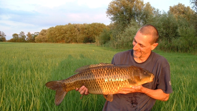 My first twenty common from the north bank, pic taken by lenny middleton