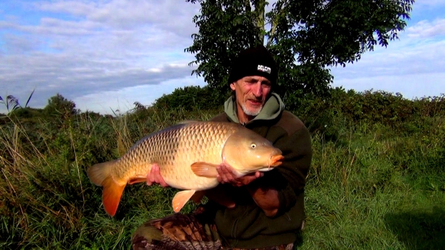 Lovely upper-double two-tone common