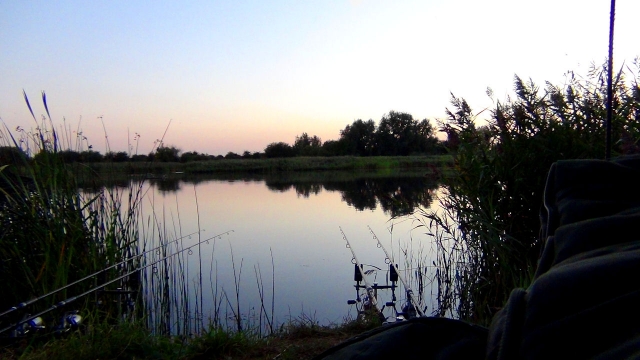 The swim i fished in september 2012, two over-night sessions which produced the stunning linear