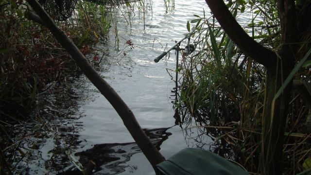 One rod, no alarms and i had to stand in a foot of chilly September lake