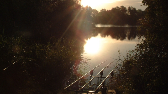 Dawn in lennys swim august 2006