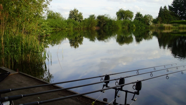 Looking out from the middle swim