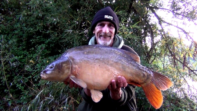 Fifth carp of the session in the north-west corner and a beautiful plump italian style stocky