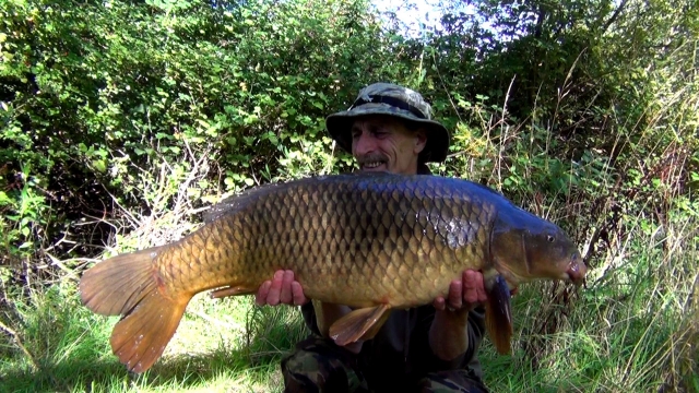 Fifth fish of my session in the fall swim and they are now searching out the bait. this one is 23.12lb.