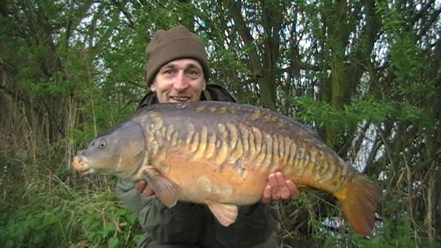 Lovely linear at 19lb+