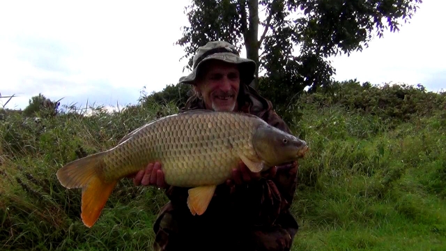 One of the beautifully proportioned hard fighting commons, lots of these!