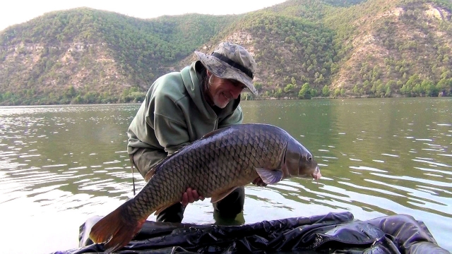 Third fish from a murky Ebro