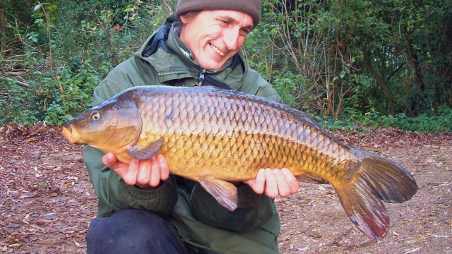 One of the stockies from early 2000