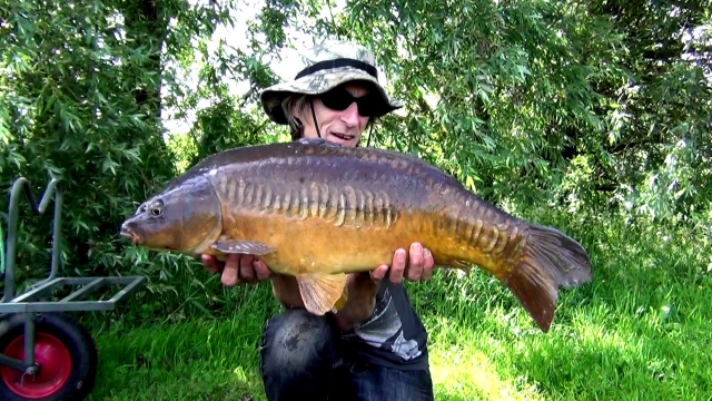 Another shot of the linear