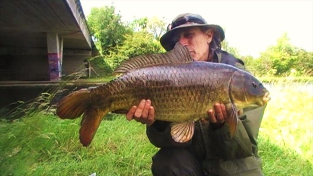 Mid double september 2011